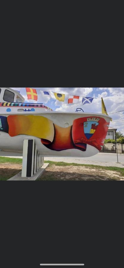 Pensiunea Albert Harsova エクステリア 写真